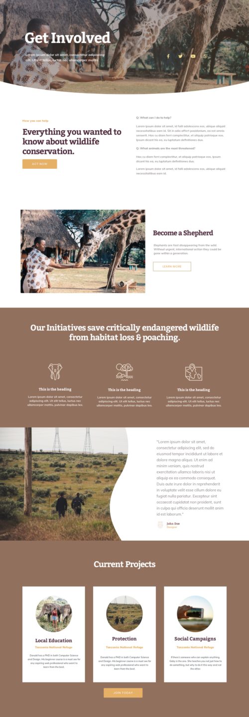 Elementor kit - Wildlife Conservation - Get Envolved