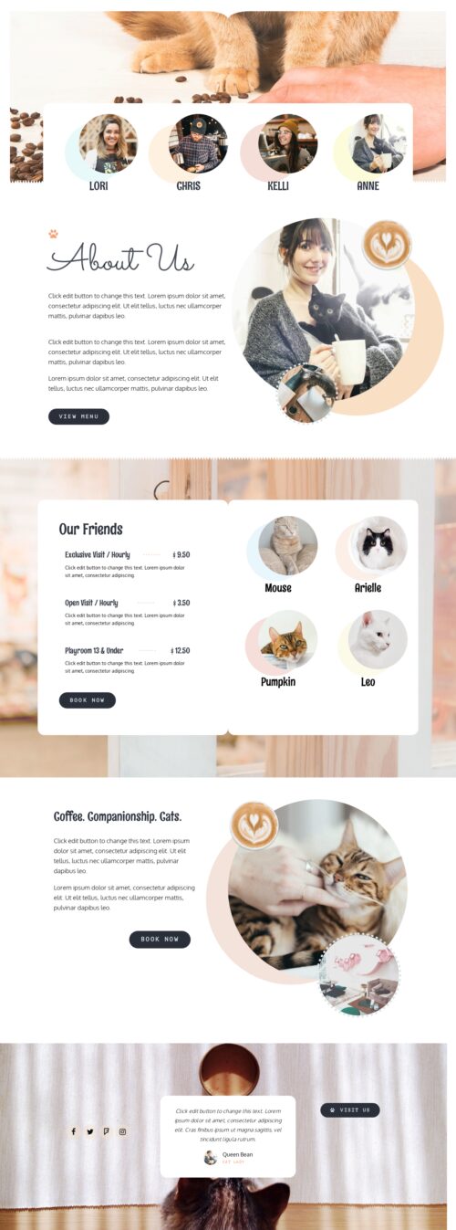 Niche Cafe - About Us