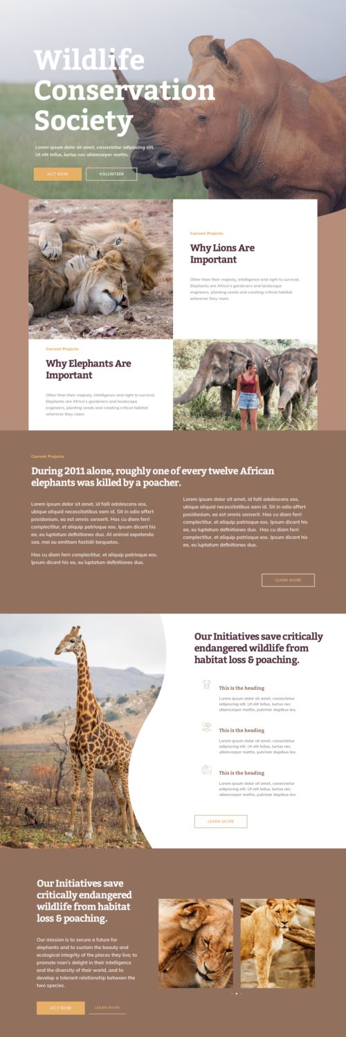 Elementor kit - Wildlife Conservation - Home 2