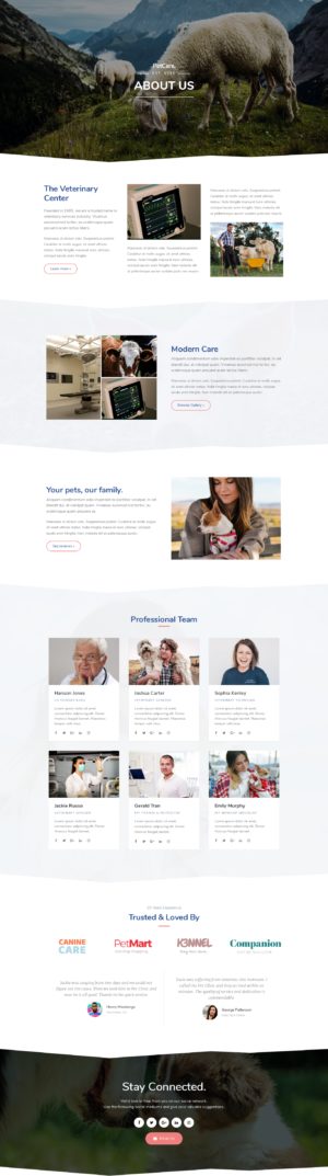 Veterinary - About Us Vet Clinic