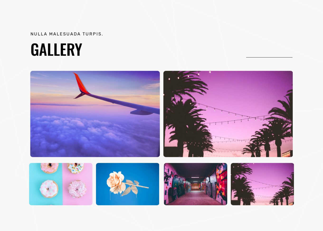 Image Gallery 9