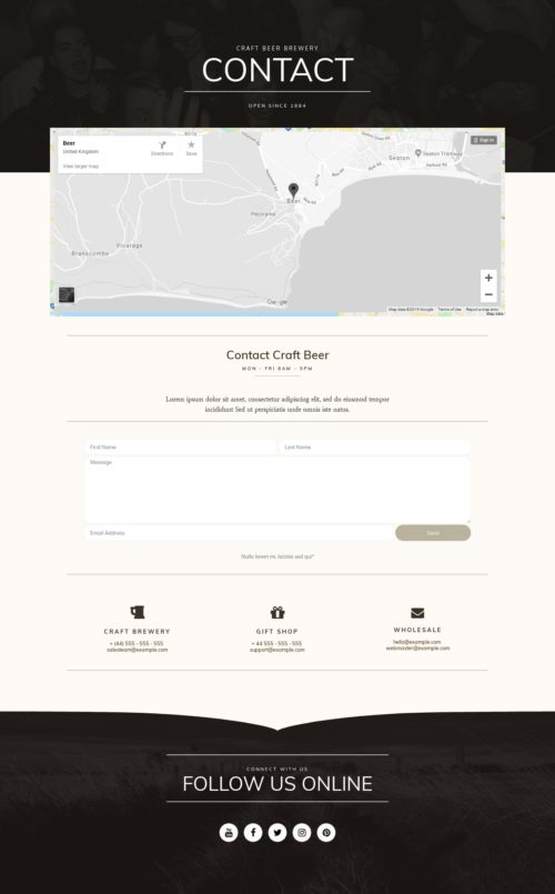 Elementor kit - Brewery - Contact 2