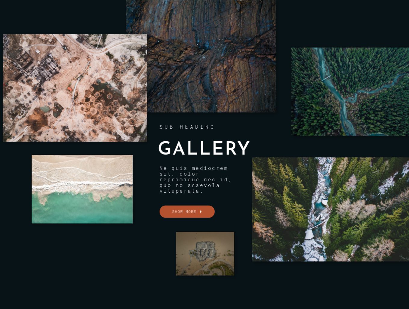 Image Gallery 13
