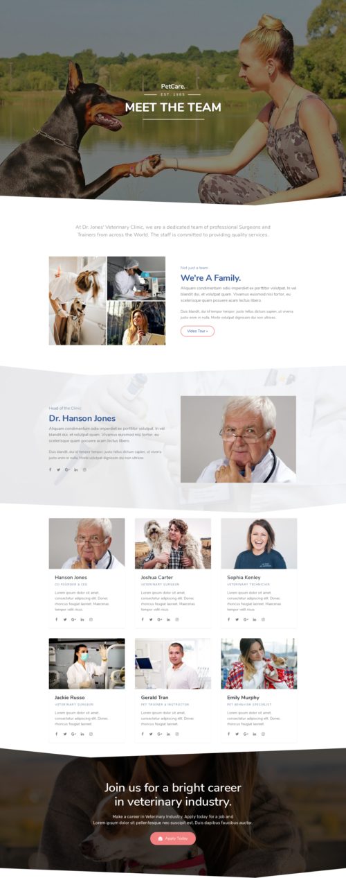 Veterinary - Team profiles
