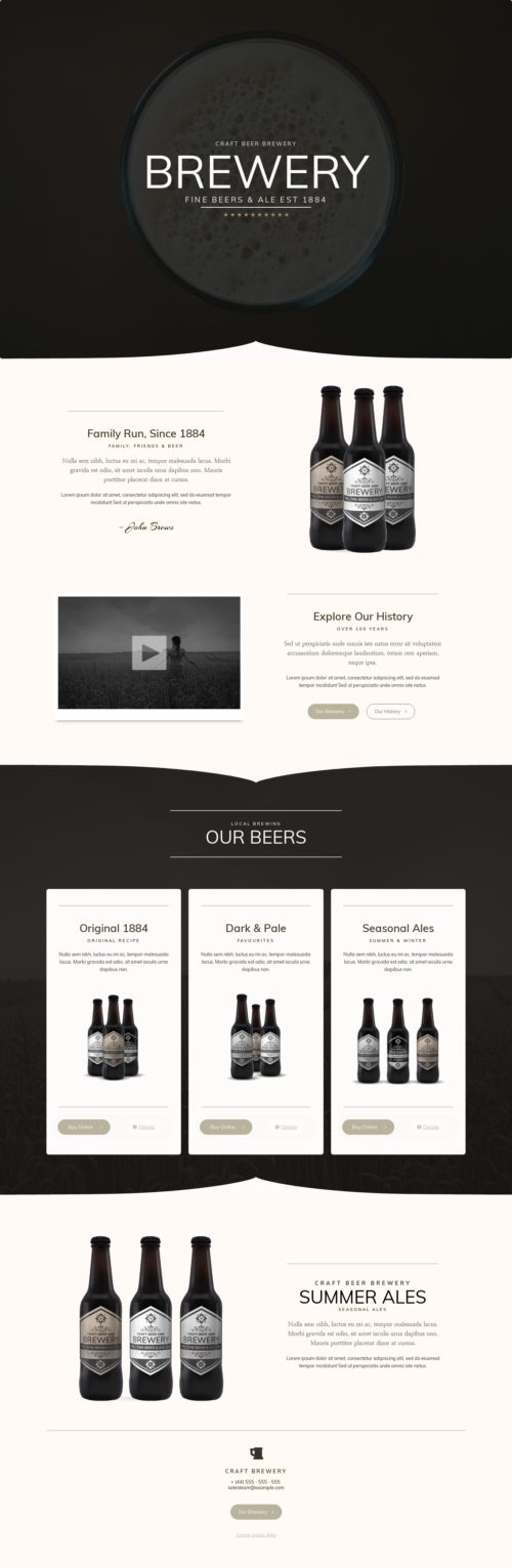 Elementor kit - Brewery - Home 1