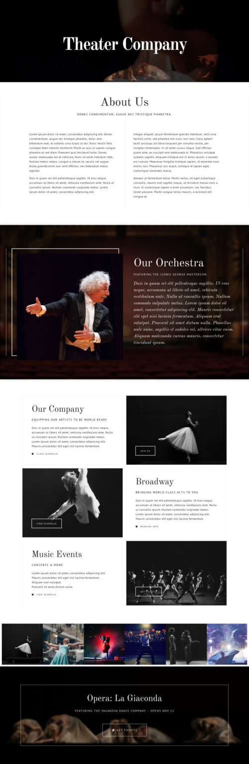 Theatre Company - About us 1