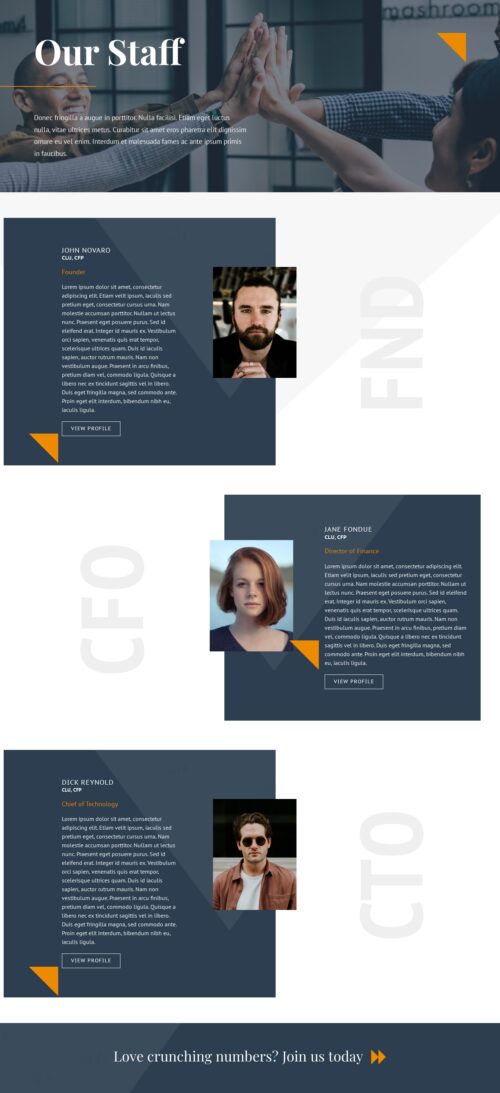Accounting Firm - Our staff