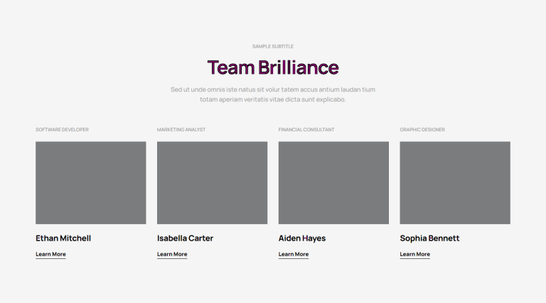 Team - c1383