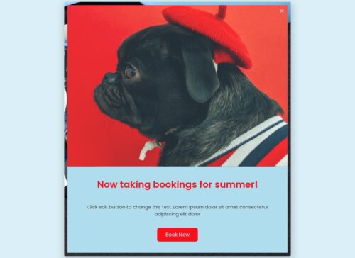 Pet sitters - Popup