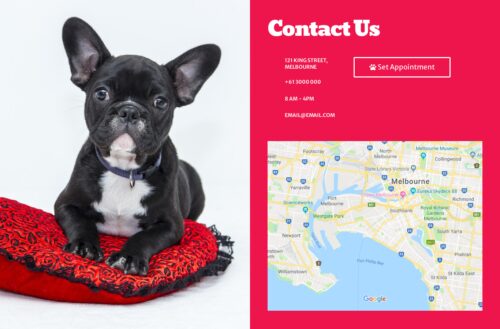 Dog Grooming Contact