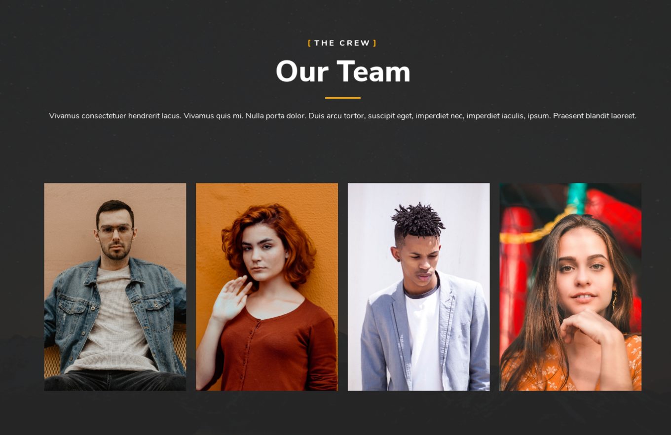 Team 5