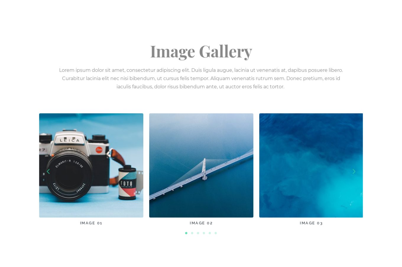 Image Gallery 14