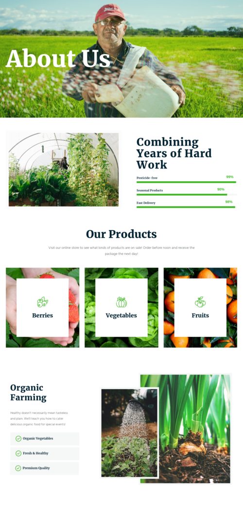 Organic Food Store - About 2