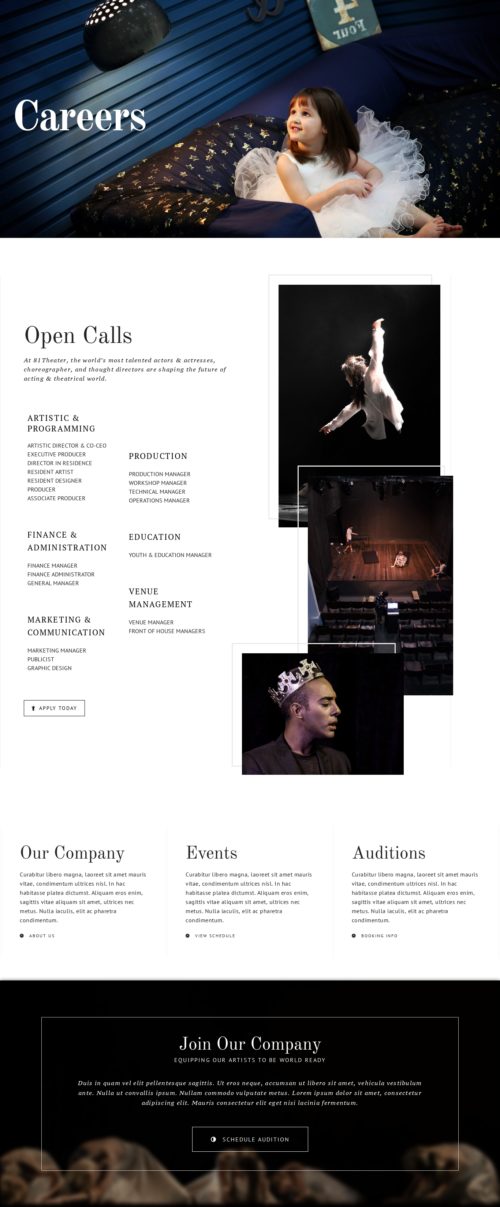 Theatre Company - Career