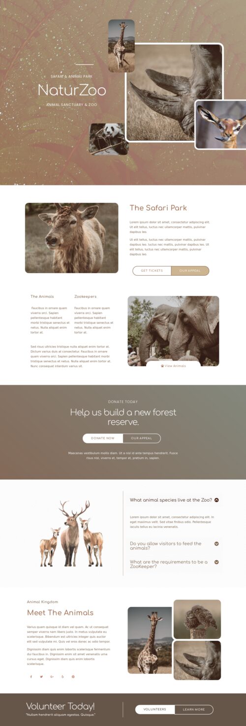 Elementor kit - Zoo - Home 2