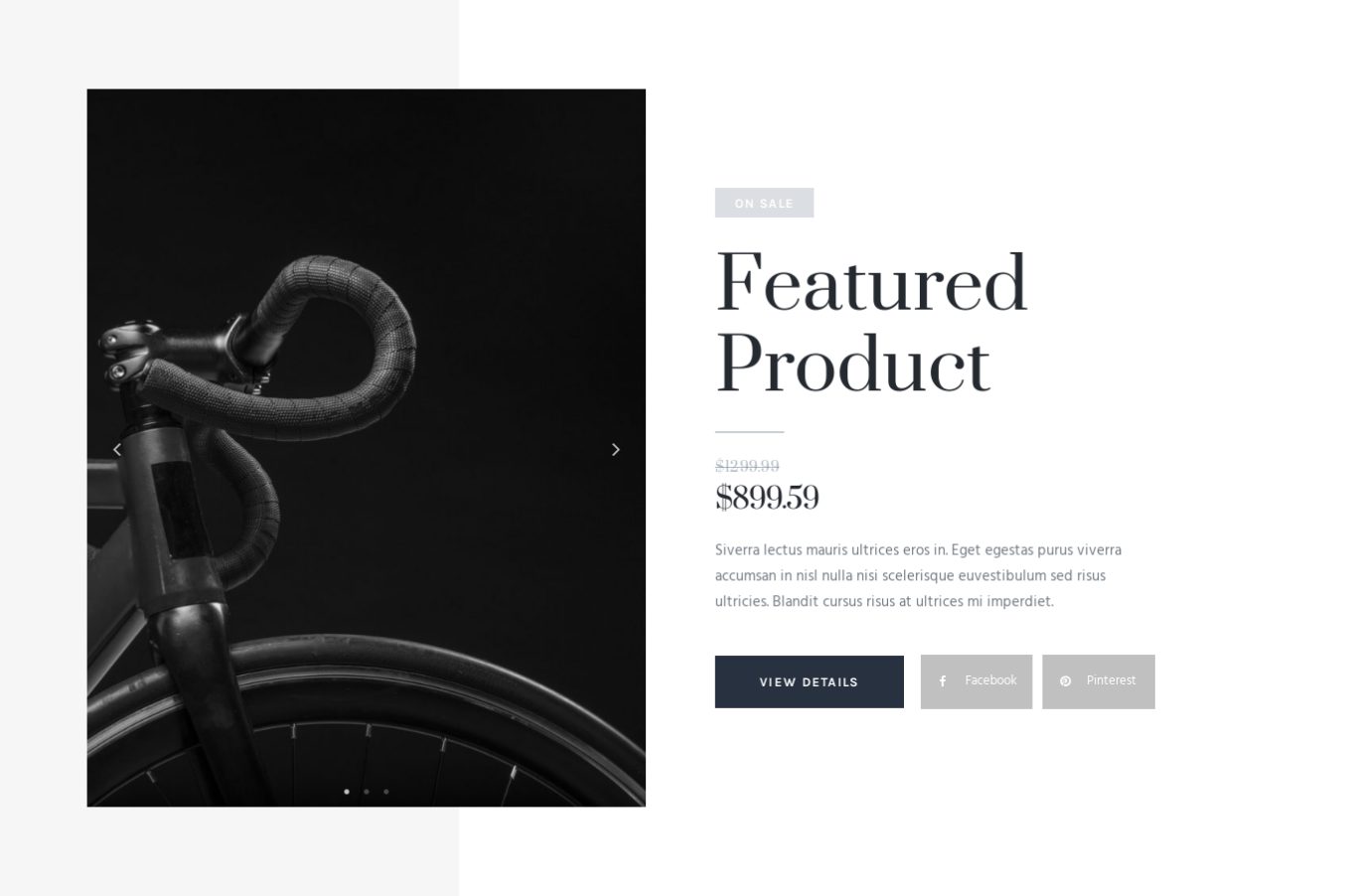 Feature Product 13