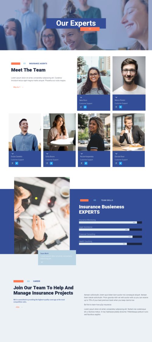 Insurance - Team