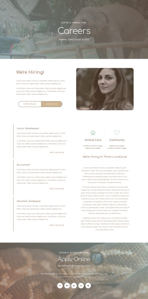 Elementor kit - Zoo - Careers