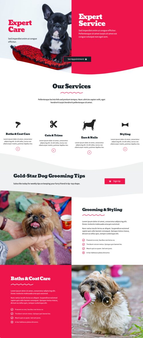 Dog Grooming Home 2