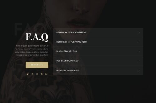 Elementor kit - Tattoo Studio - FAQ