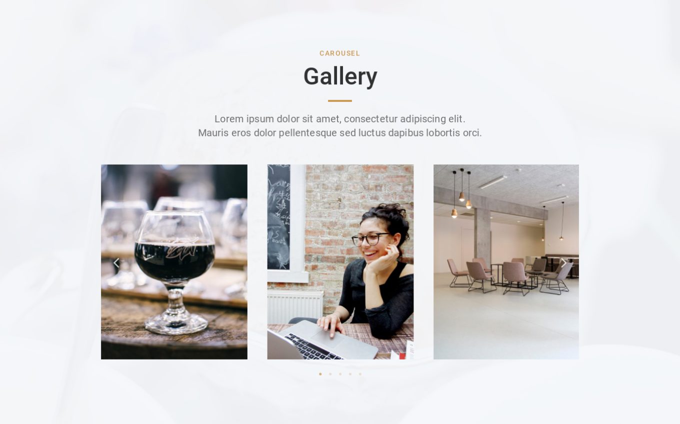 Image Gallery 1