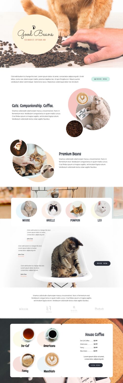 Niche Cafe - Home 2