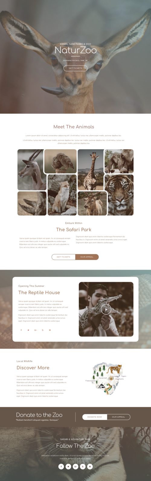Elementor kit - Zoo - Home1
