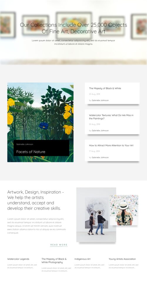 Art Gallery - Collections