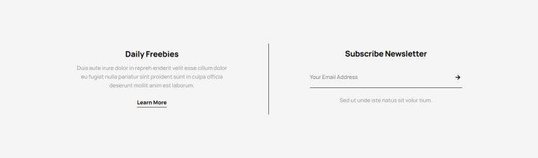 Email Opt-in c969