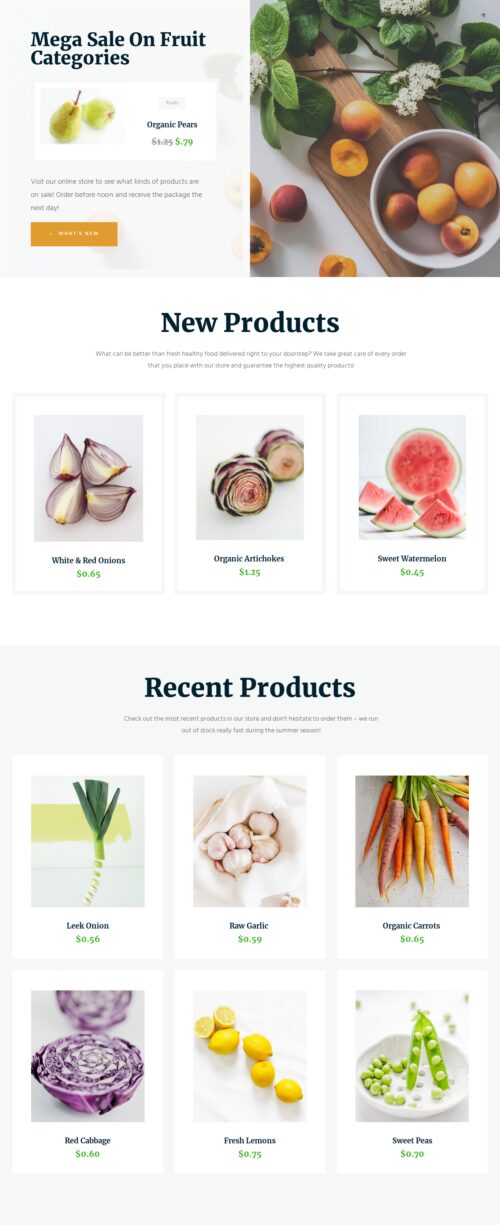 Organic Food Store - Product 1