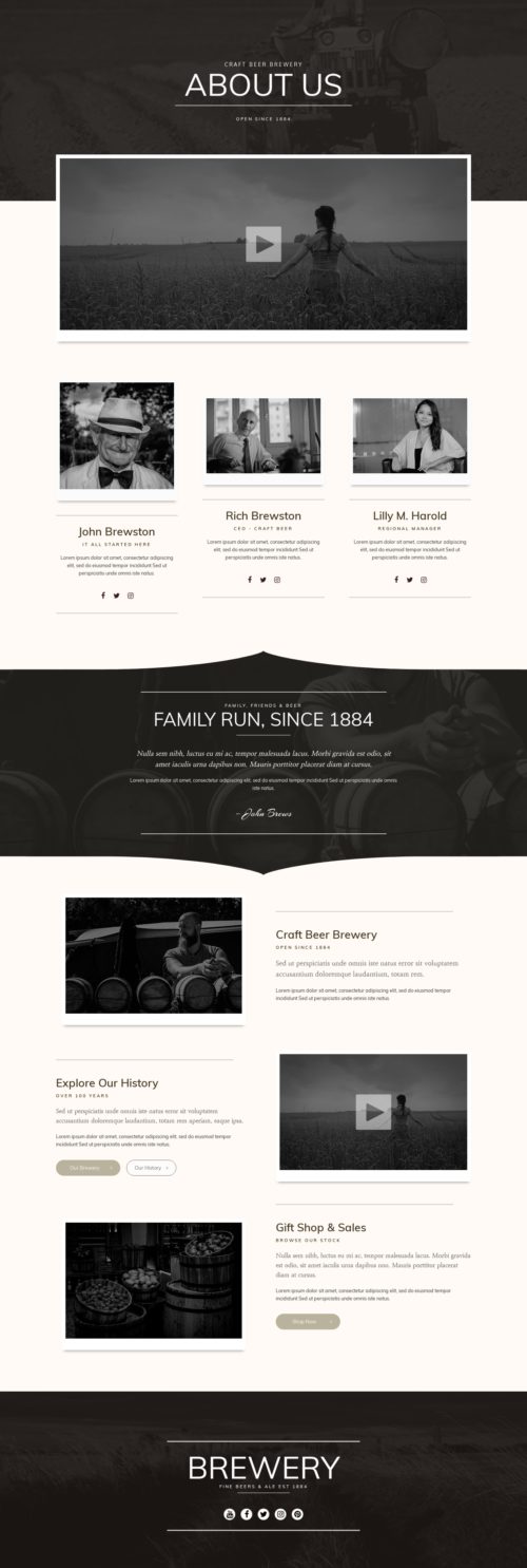 Elementor kit - Brewery - About