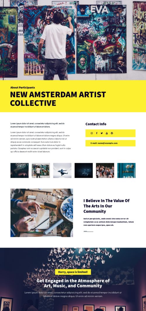 Arts Festival - About Artist