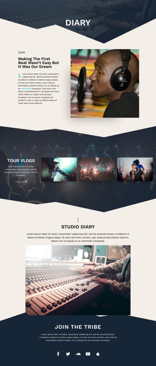 Musician - Diary