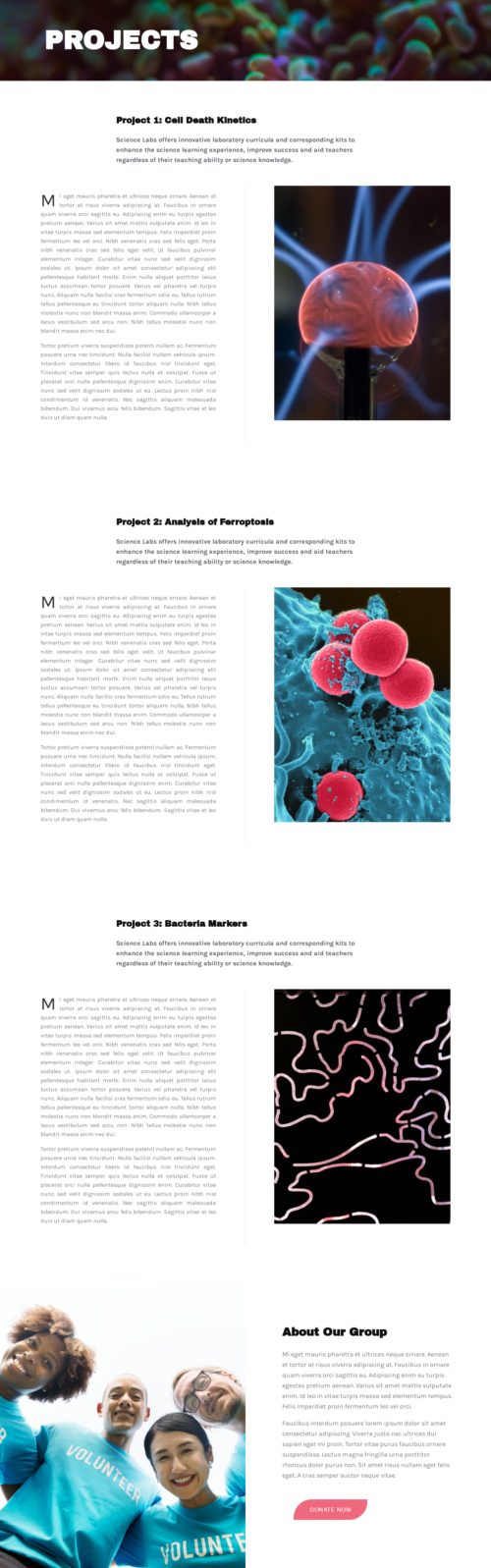 Science Project 2
