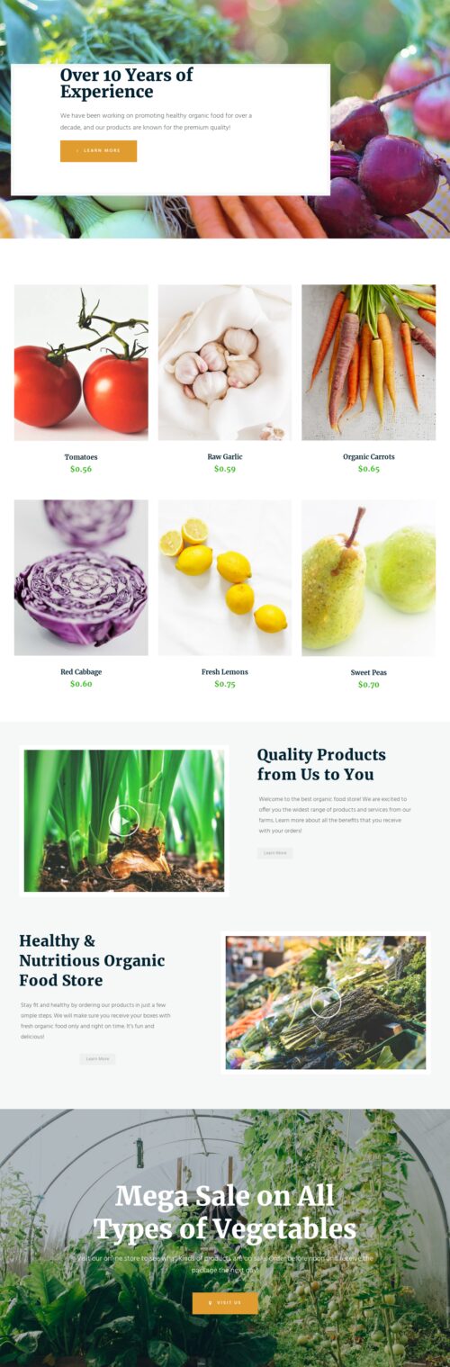 Organic Food Store - Home 4