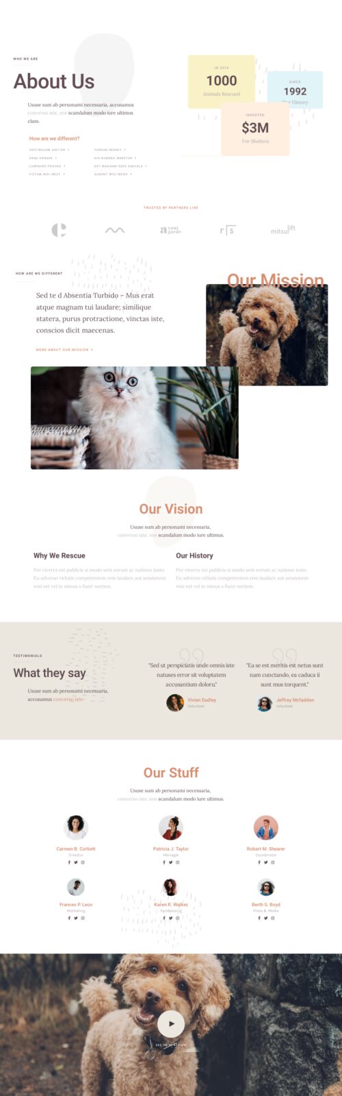 Animal Rescue - About us 