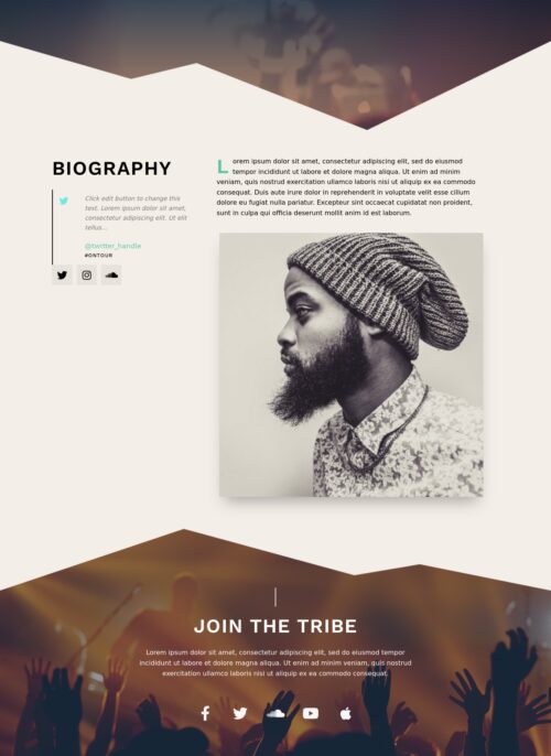 Musician - Biography 