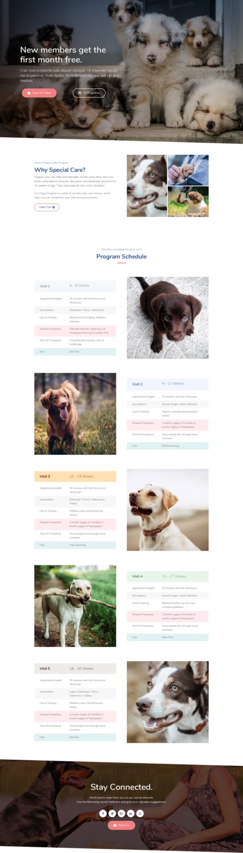 Veterinary - Program