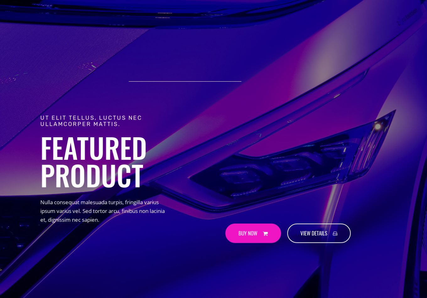 Feature Product 5