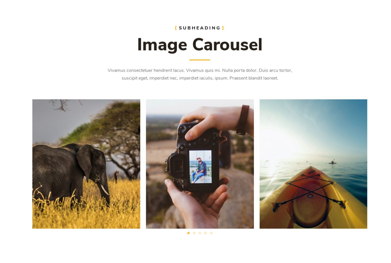 Image Gallery 5