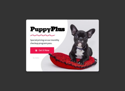 Dog Grooming Popup