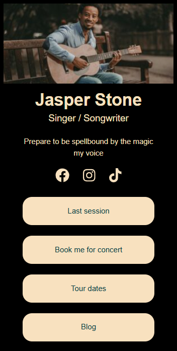 Link in Bio – Singer / SongWriter