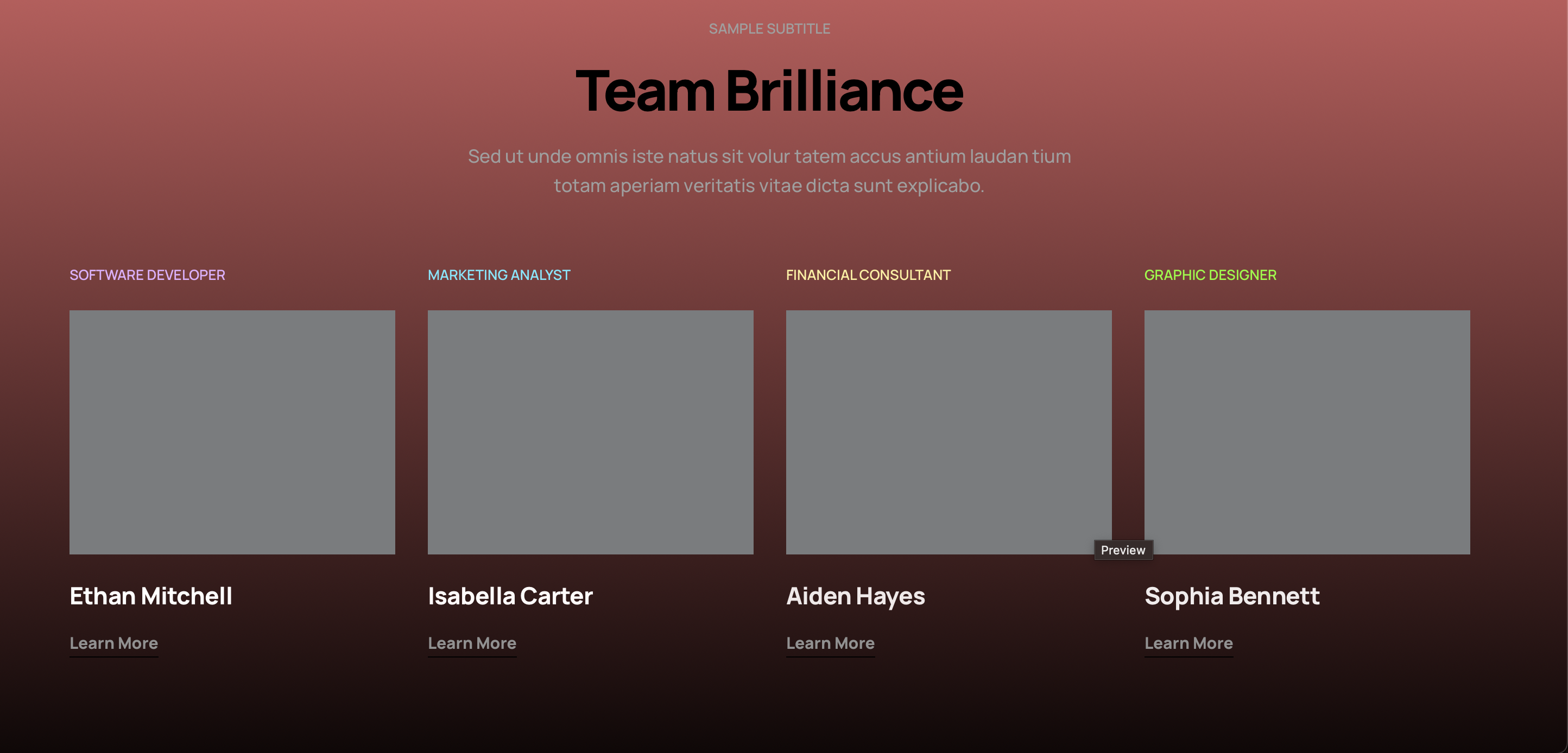 Team - 1383