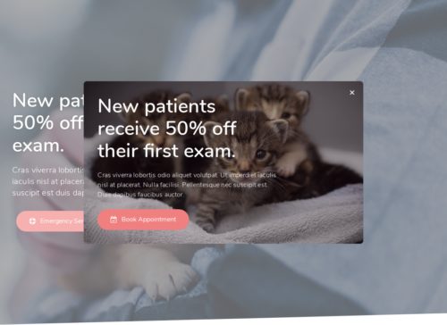 Veterinary - Popup