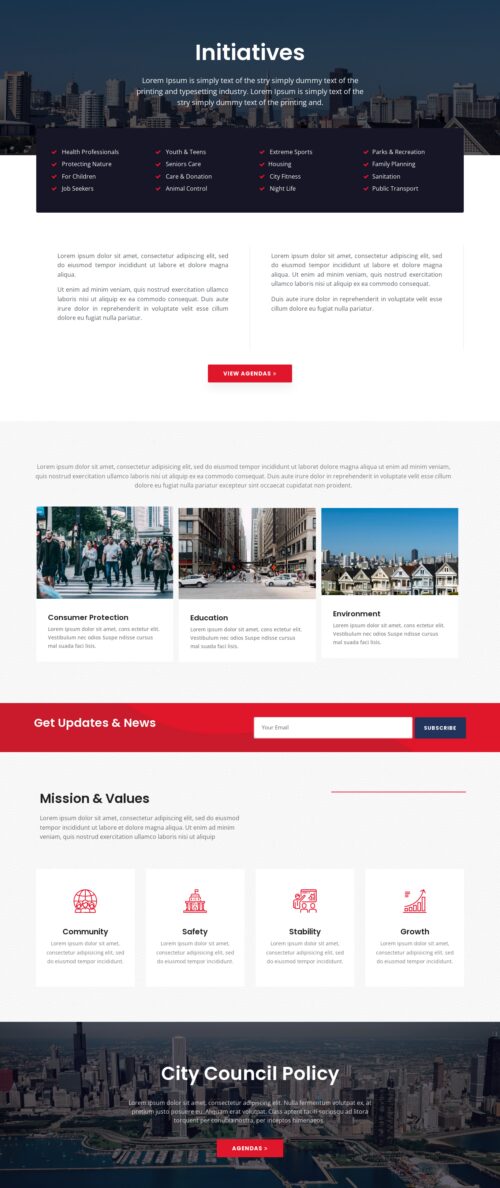 City Council - Goals 1