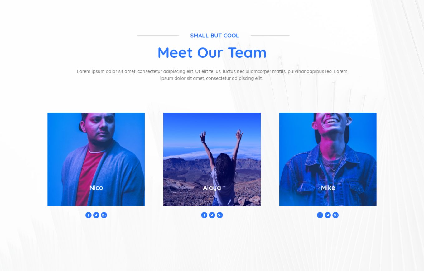 Team 10
