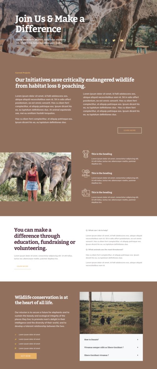 Elementor kit - Wildlife Conservation - Our causes Single