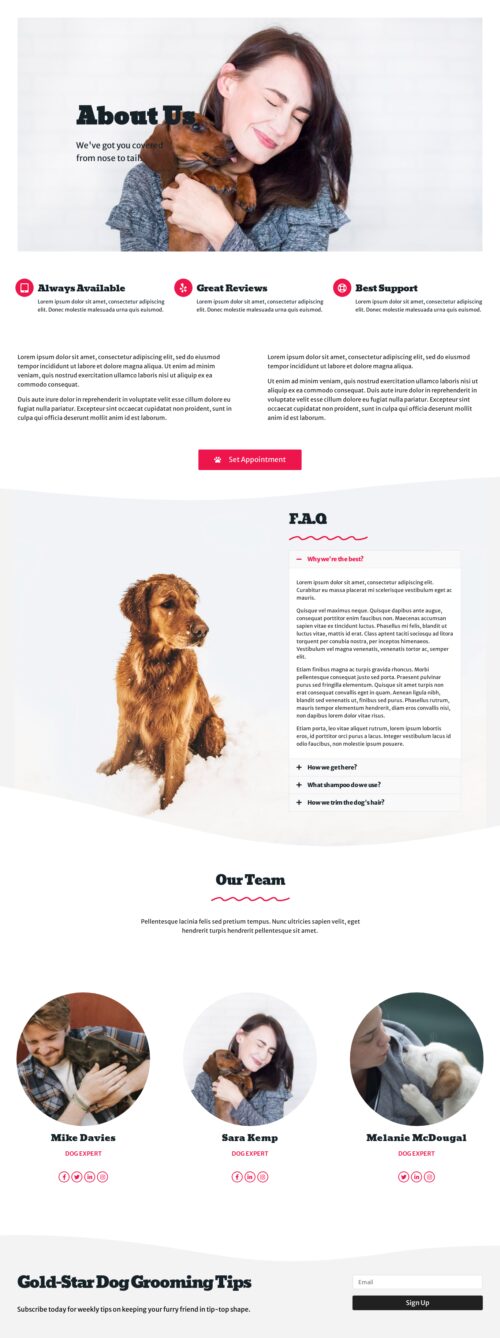 Dog Grooming About Us 2
