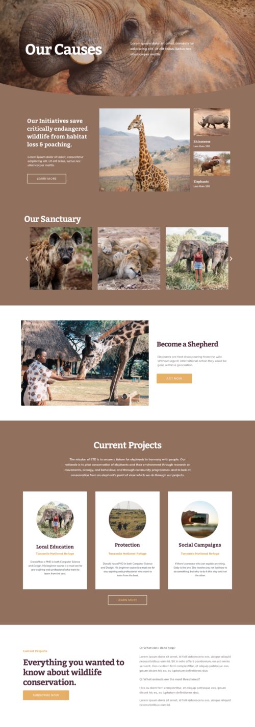 Elementor kit - Wildlife Conservation - Our Causes