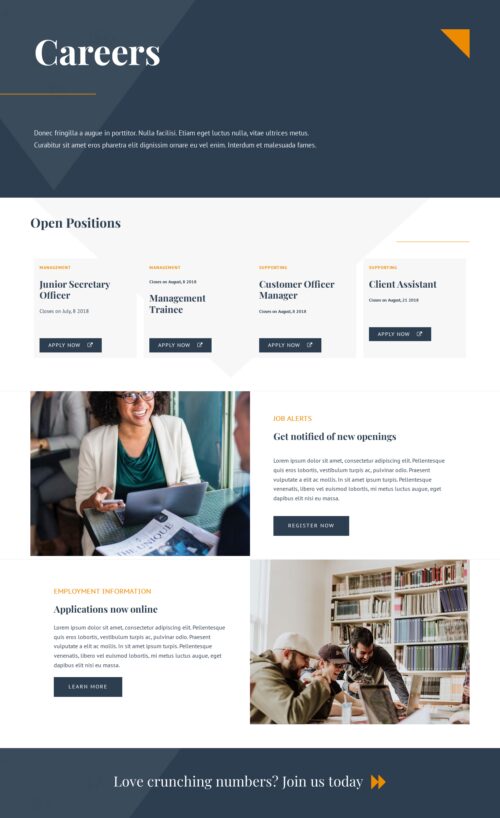 Accounting Firm - Career